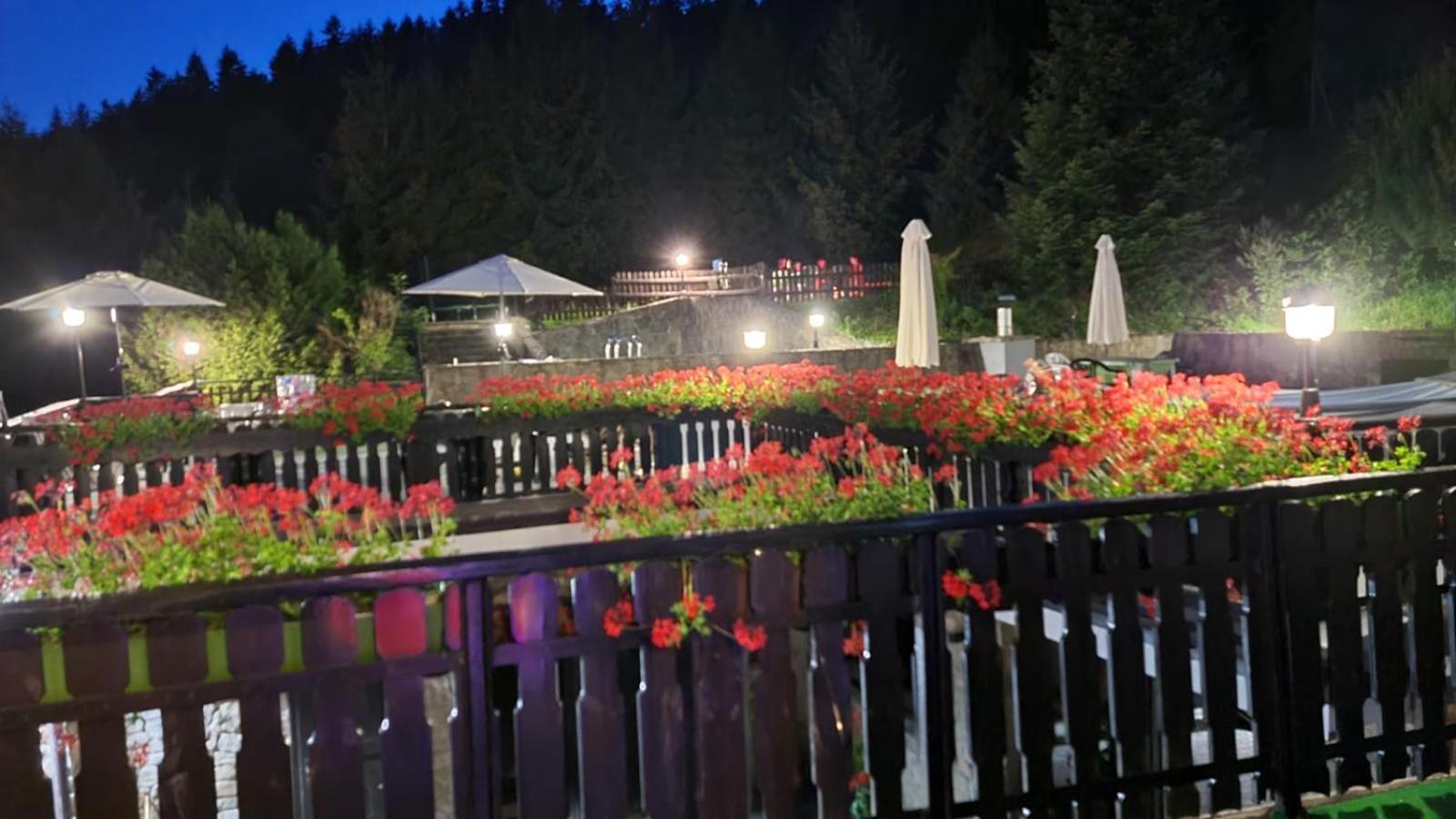Eden Szczyrk Bed & Breakfast ภายนอก รูปภาพ